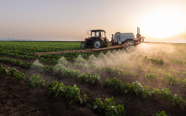 Best Pest Control for Businesses  in Addison, IL