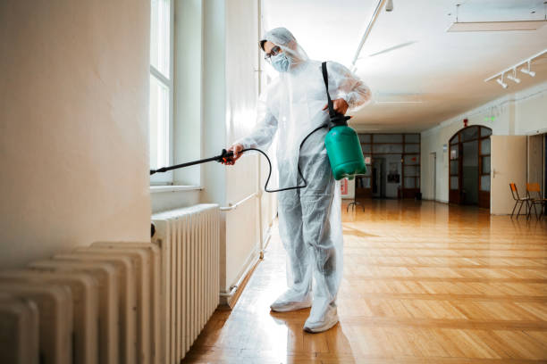 Best Bed Bug Extermination  in Addison, IL